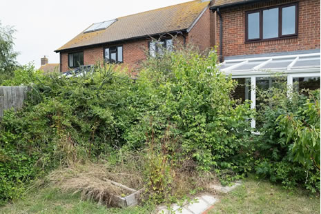 House clearance servises