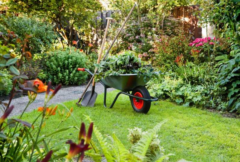 gardening services